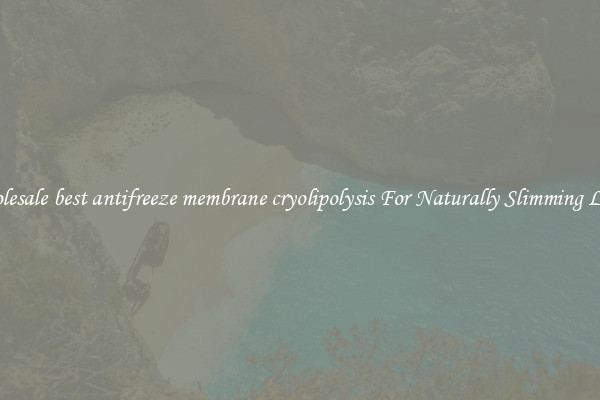 Wholesale best antifreeze membrane cryolipolysis For Naturally Slimming Looks