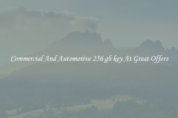 Commercial And Automotive 256 gb key At Great Offers