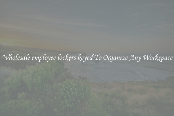 Wholesale employee lockers keyed To Organize Any Workspace