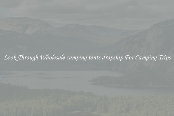 Look Through Wholesale camping tents dropship For Camping Trips