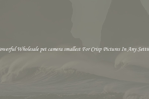 Powerful Wholesale pet camera smallest For Crisp Pictures In Any Setting