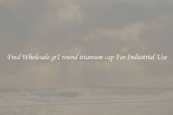 Find Wholesale gr1 round titanium cap For Industrial Use