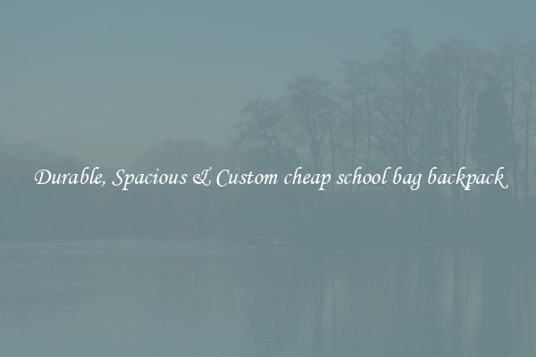 Durable, Spacious & Custom cheap school bag backpack