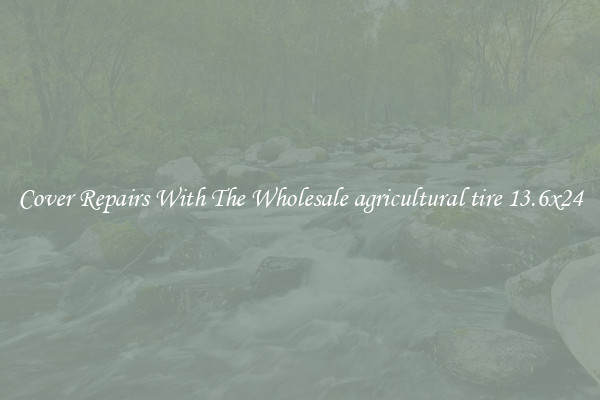  Cover Repairs With The Wholesale agricultural tire 13.6x24 