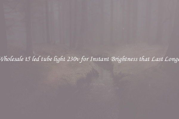 Wholesale t5 led tube light 230v for Instant Brightness that Last Longer