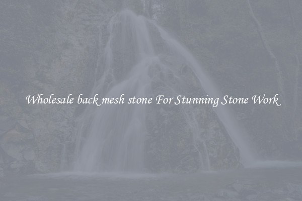 Wholesale back mesh stone For Stunning Stone Work