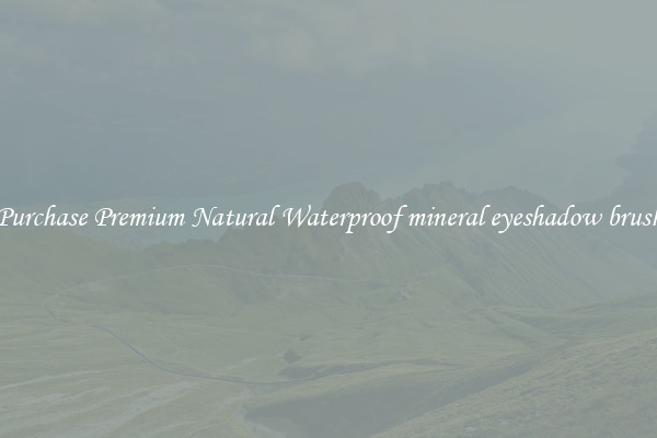 Purchase Premium Natural Waterproof mineral eyeshadow brush