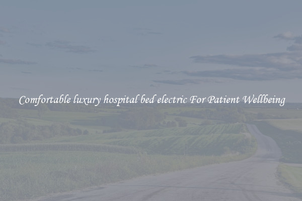 Comfortable luxury hospital bed electric For Patient Wellbeing
