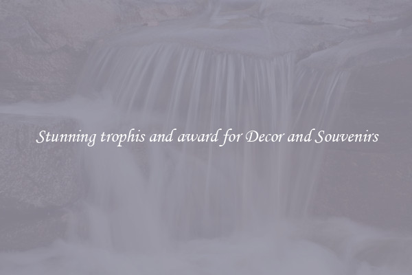 Stunning trophis and award for Decor and Souvenirs