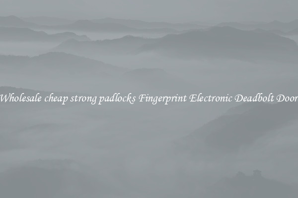 Wholesale cheap strong padlocks Fingerprint Electronic Deadbolt Door 