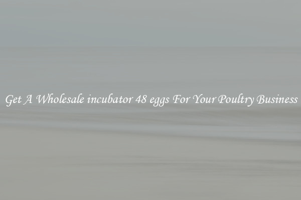 Get A Wholesale incubator 48 eggs For Your Poultry Business