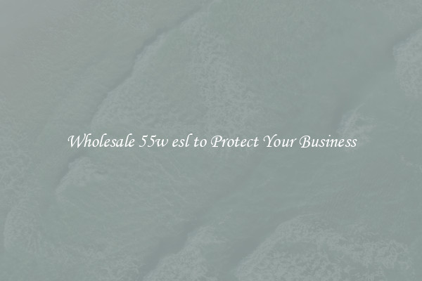 Wholesale 55w esl to Protect Your Business