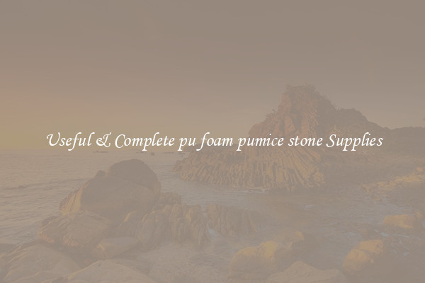 Useful & Complete pu foam pumice stone Supplies