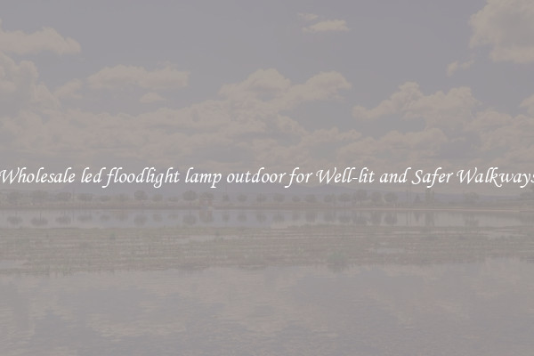 Wholesale led floodlight lamp outdoor for Well-lit and Safer Walkways